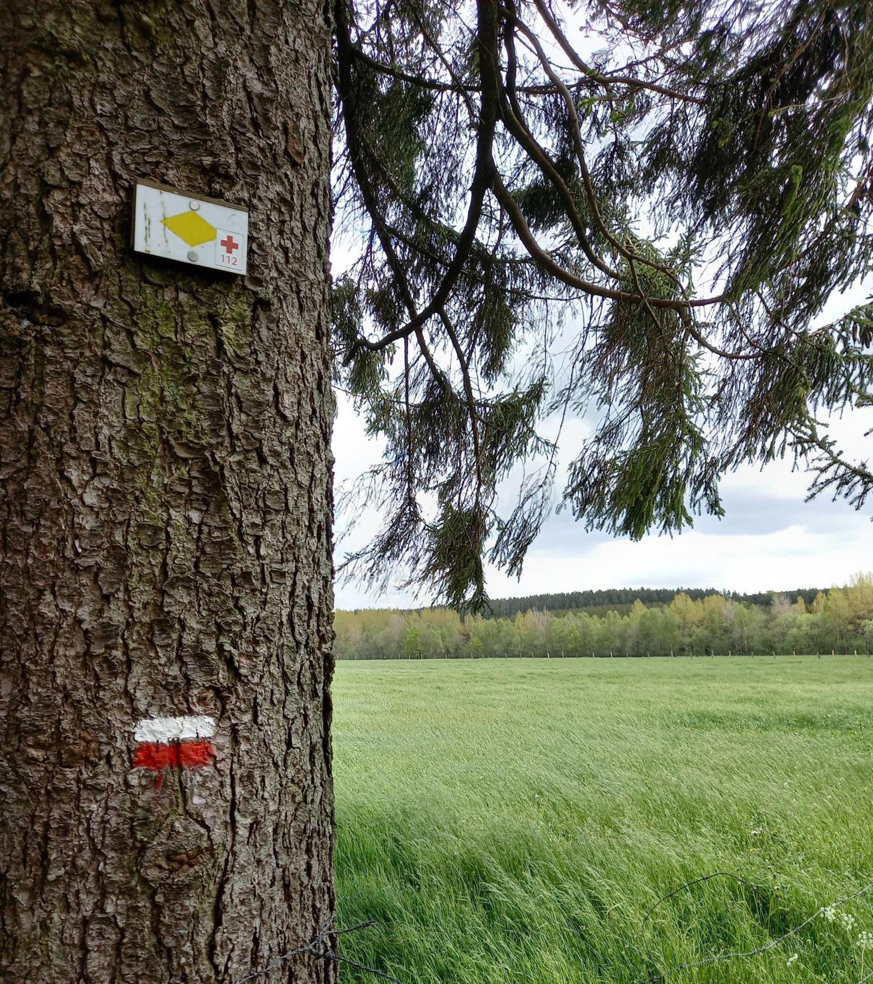 Gite Citadin 3 Epis "Carpe Diem" Villa Bastogne Rom bilde